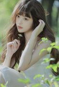 <b>搭客可海不雅鲸、看企鹅归巢</b>